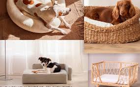 CAMA